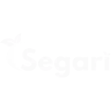 segari indonesian ecommerce superapp